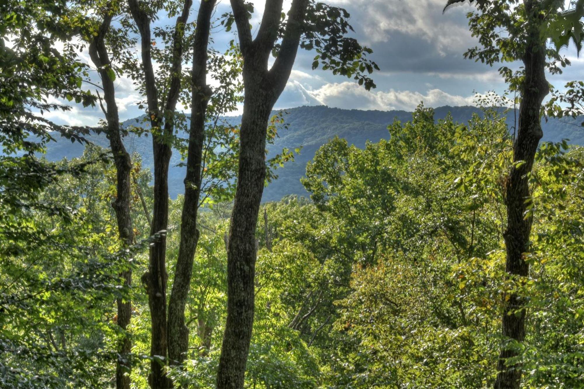 Bearfoot Ridge Wood-Burning Fireplace Cozy Hot Tub Serene Views Ellijay Exteriör bild